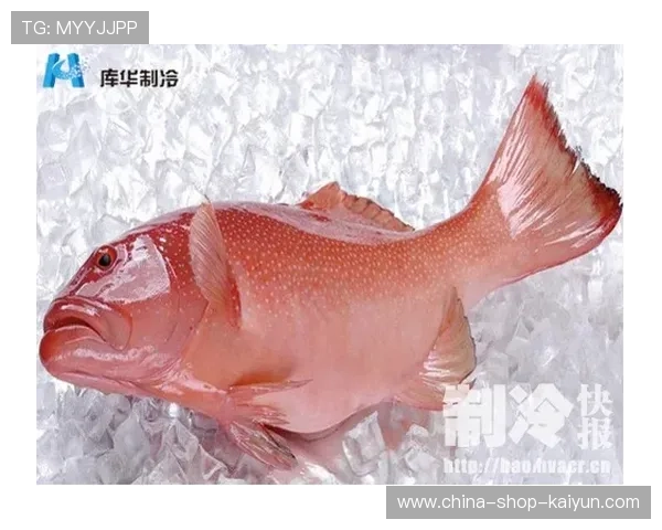 动态定价策略应用范围扩大，供需调节平衡用户体验